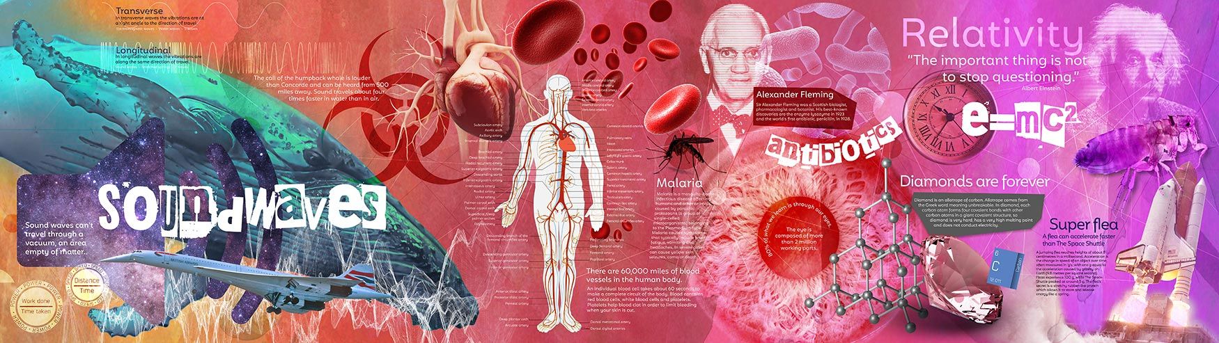 science wallpaper mural, sound waves, whale, blood system, Alexander Fleming, relativity, mural designs