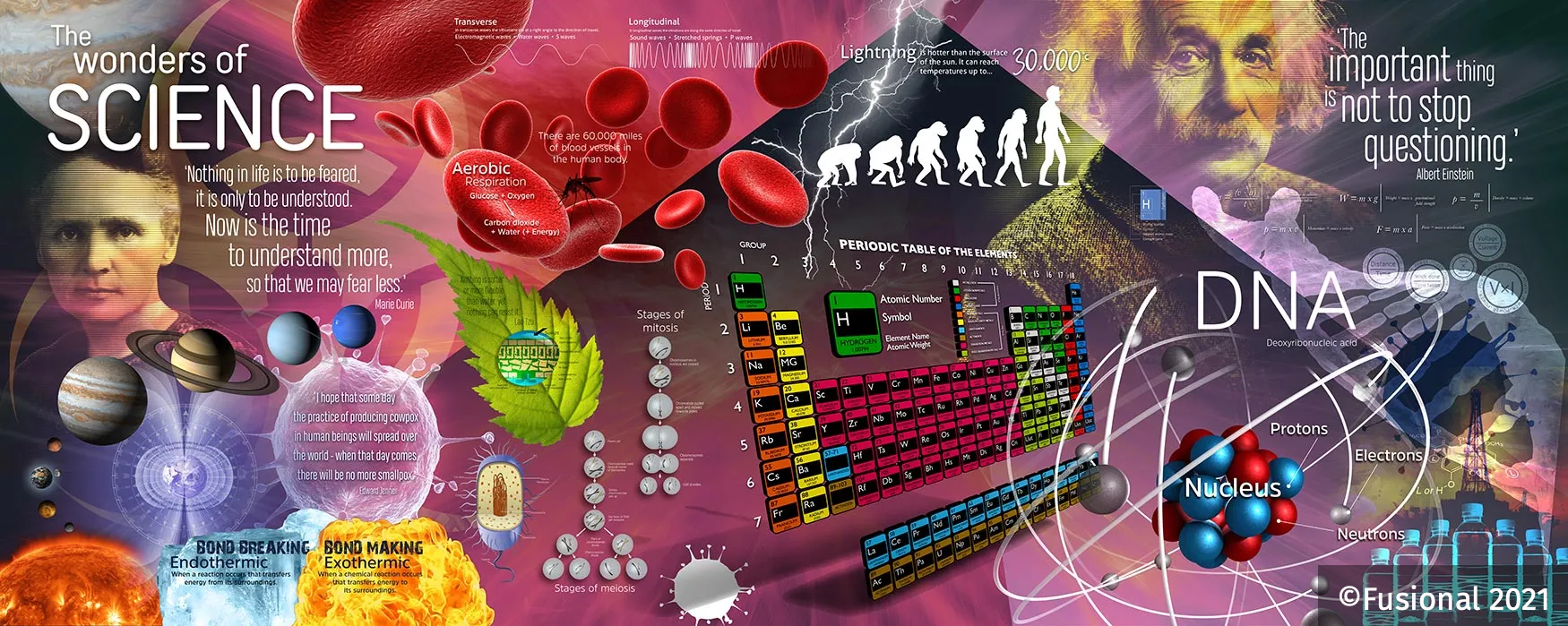 Science school mural display vinyl wall art biology  longitudal waves, physics chemistry