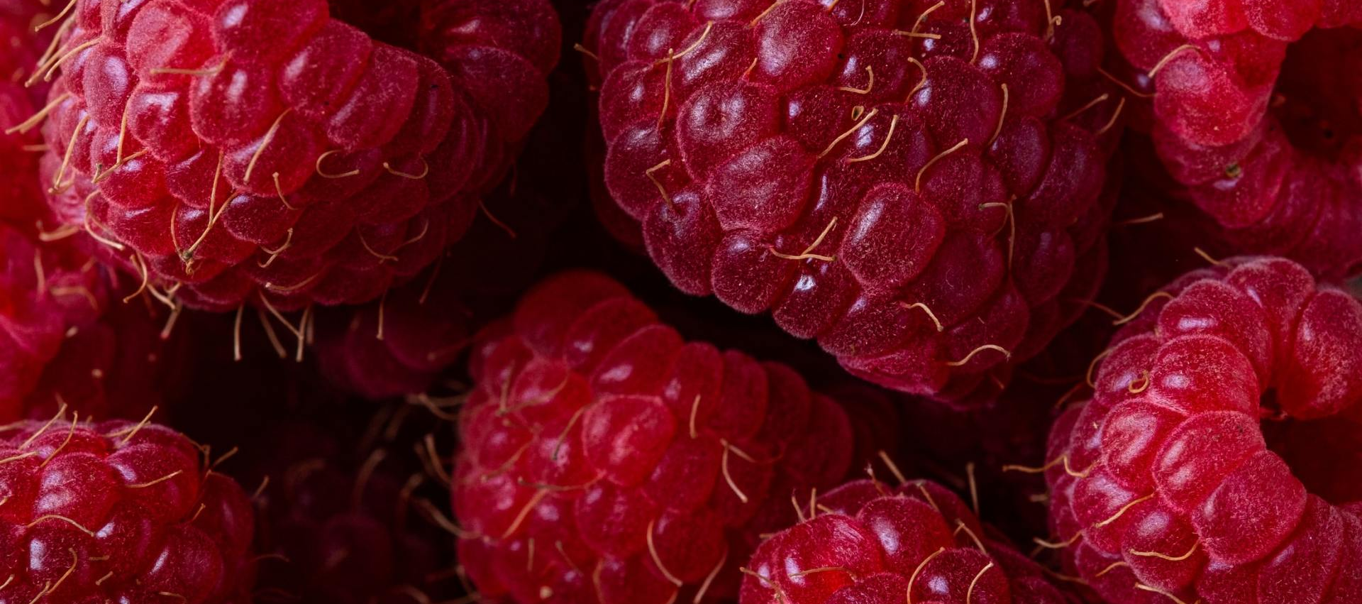 An image of raspberries.