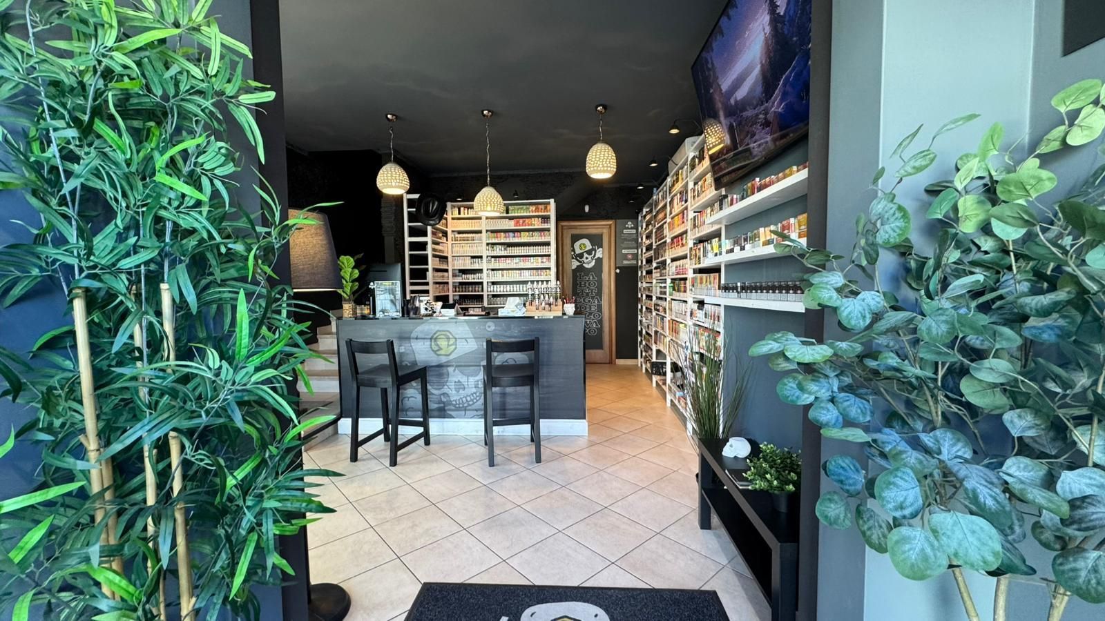 Interno di un negozio con bar, scaffali e piante; toni neutri; illuminazione dall'alto.