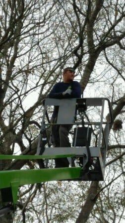 Worker on a lift cutting tree - Tree removal in Daphne and Fairhope Counties