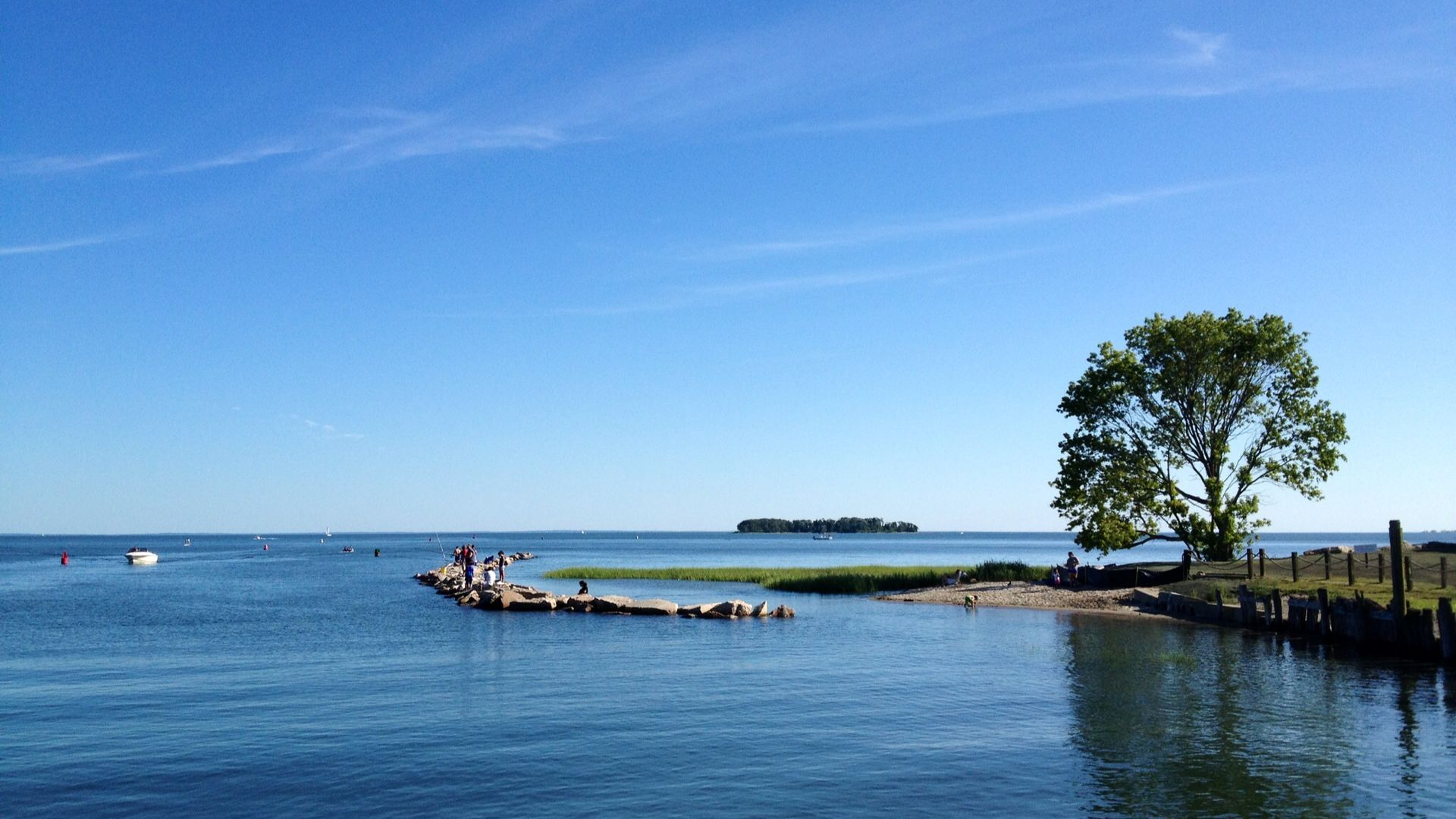 Blue water and sky, wooden dock with people, green tree on the shore.
