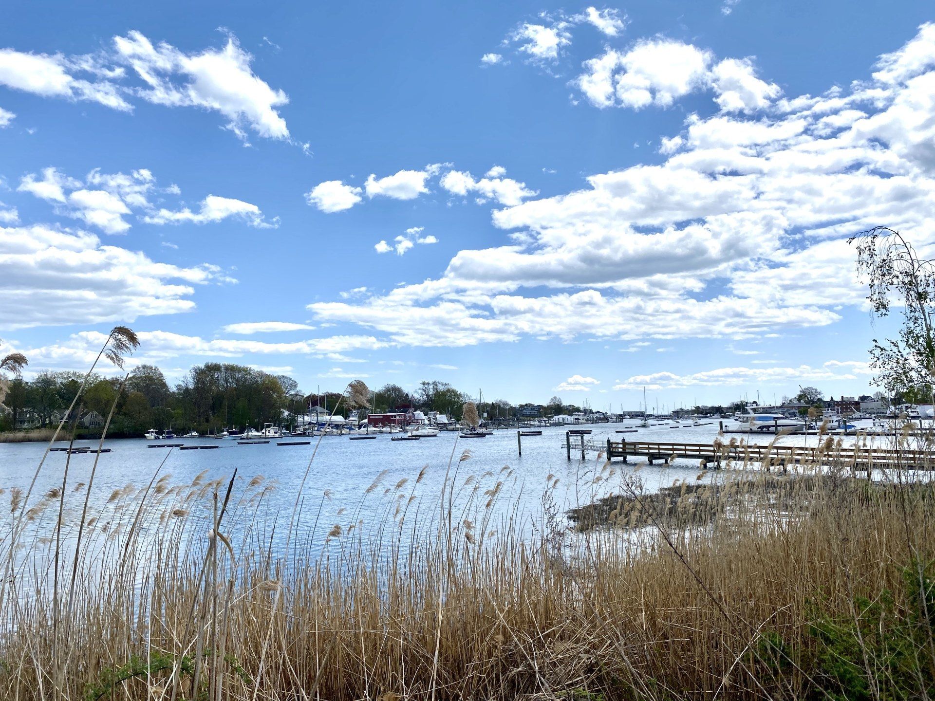 Waterfront scene: boats on water, blue sky with clouds, reeds in foreground.