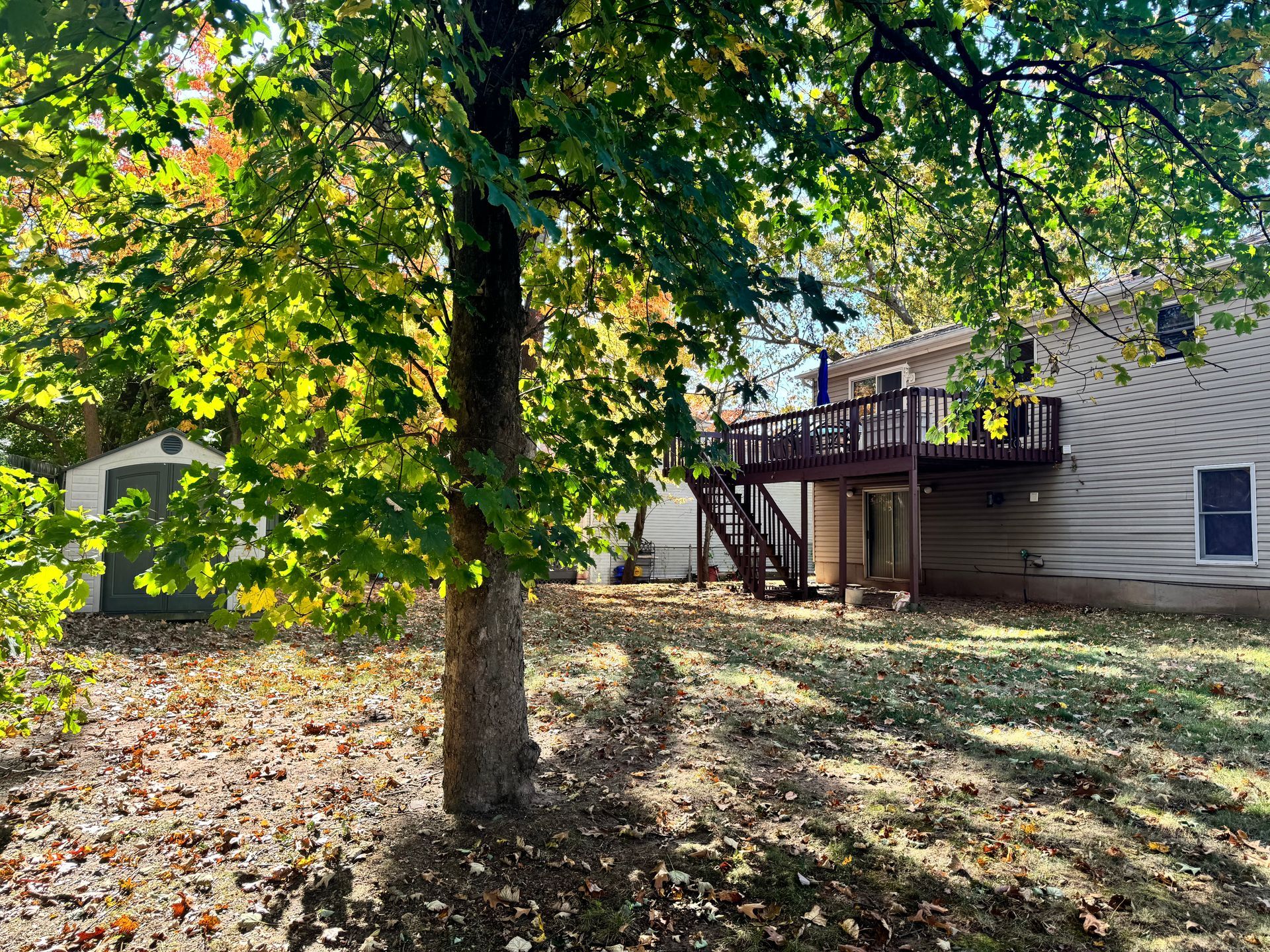 Backyard with a tree, deck, and shed. Green and yellow foliage, brown deck and stairs, tan house.