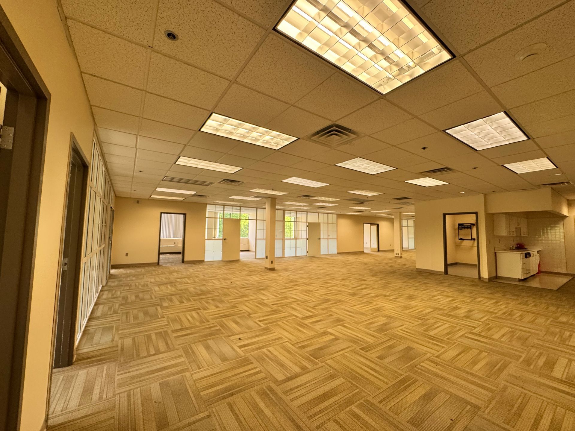 Empty office space with carpet, fluorescent lights, and several doorways.