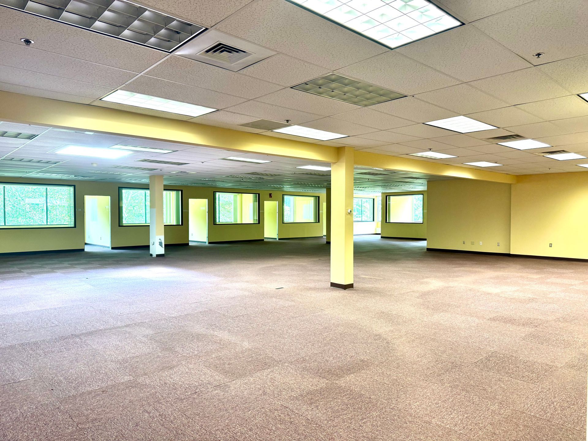 Empty commercial office space with carpet, windows, and yellow columns.