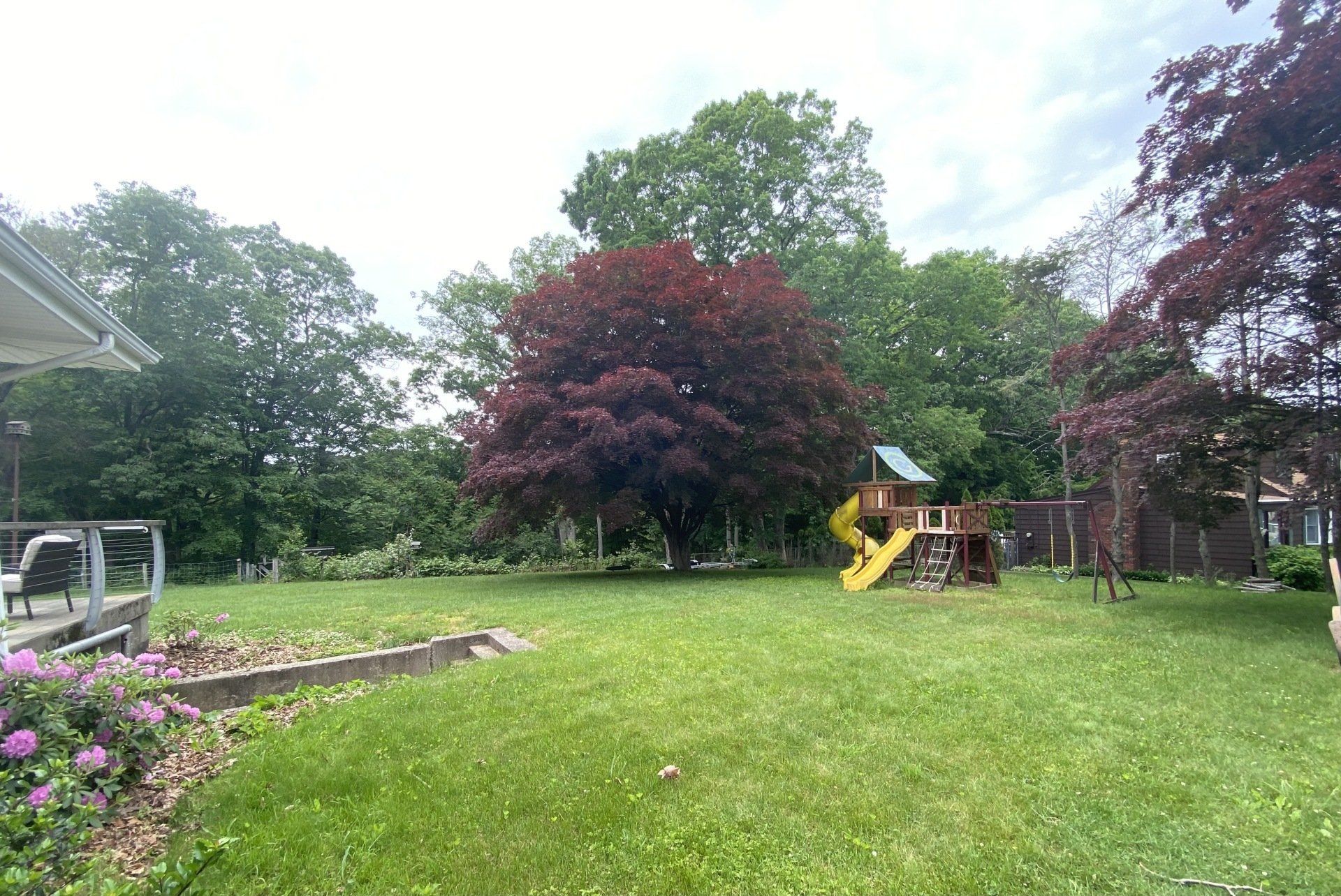A backyard with a playset, lush green grass, and trees under an overcast sky.
