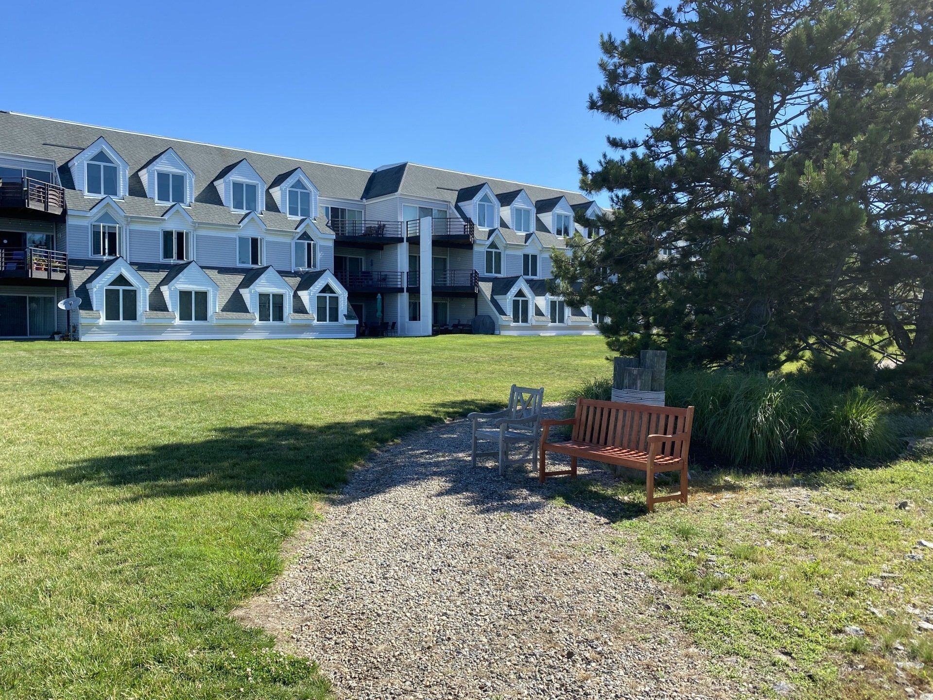 A gravel path leads to two benches on a grassy lawn with a light blue building in the background.
