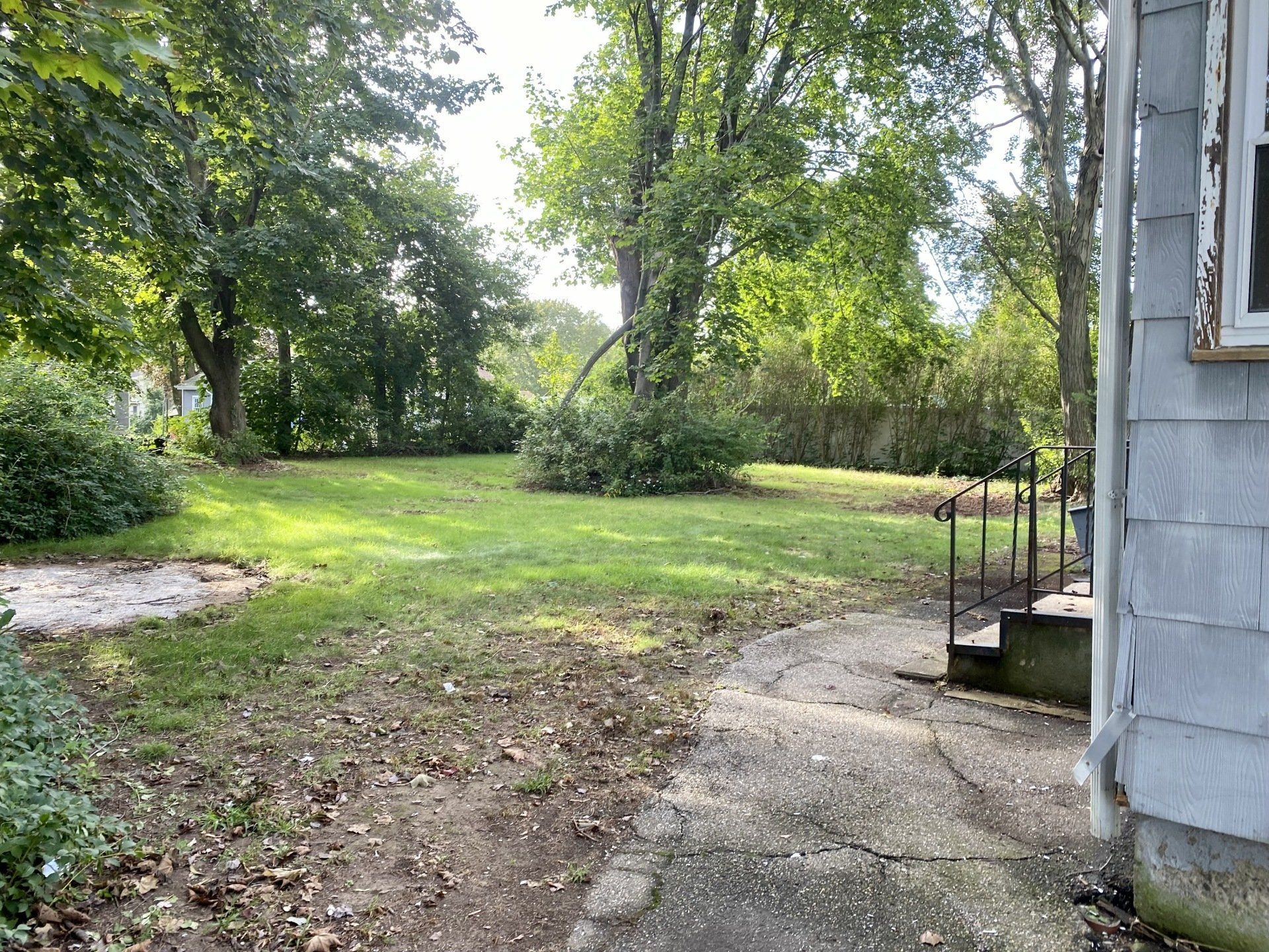 Grassy backyard with trees. Gray house siding on the right.  Overcast sky, sunny patches.