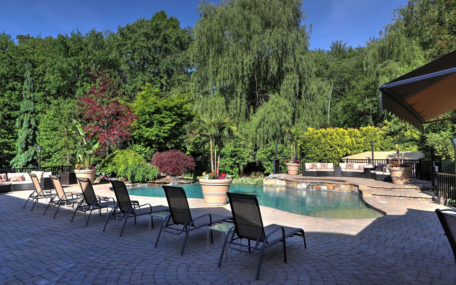 Patio with pool, lounge chairs, and lush green trees in a sunny backyard.