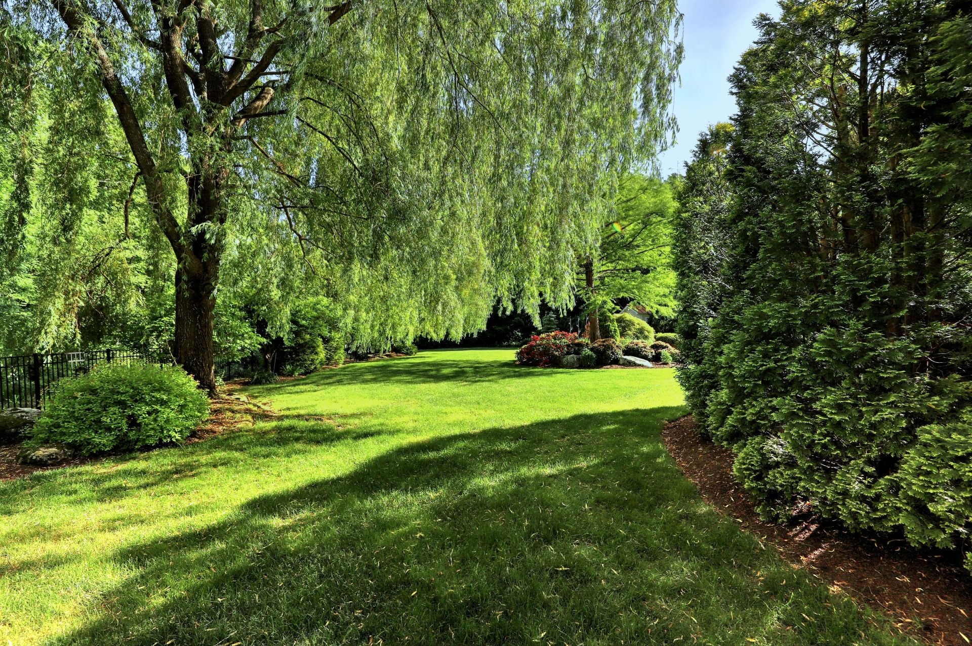 Lush green lawn shaded by a weeping willow tree, flanked by shrubs and a sunny garden path.