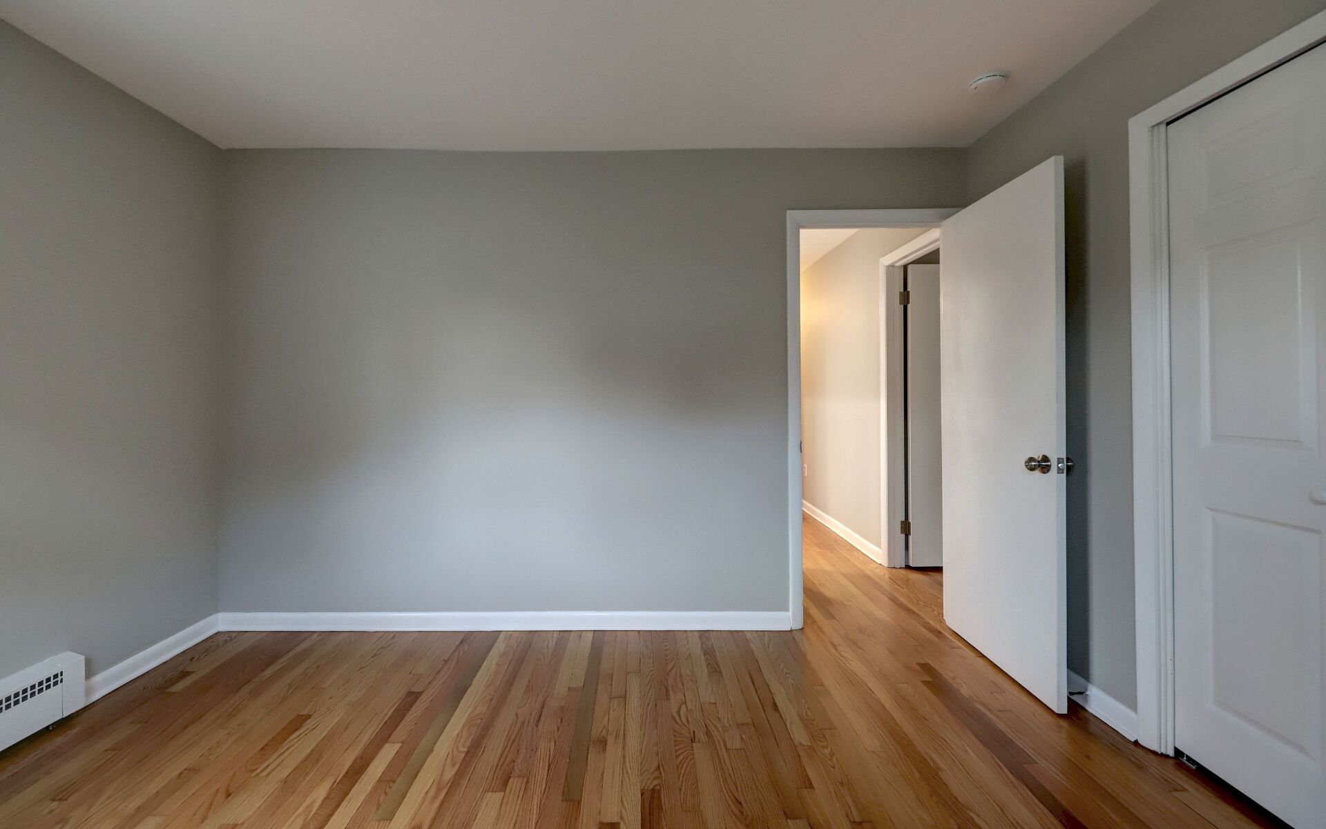 Empty room with gray walls, wood floors, and white doors.