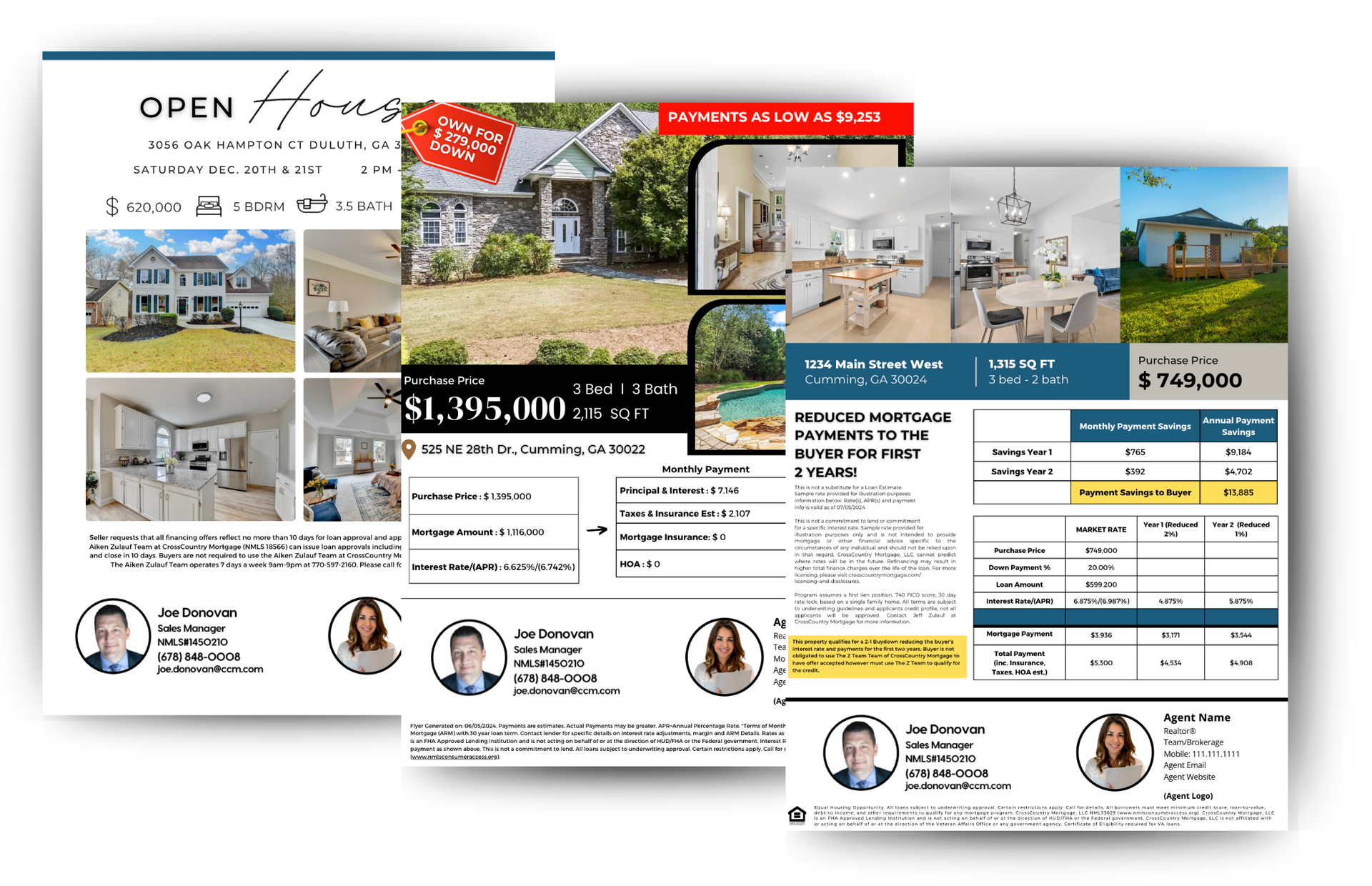 The Z Team Marketing Flyers