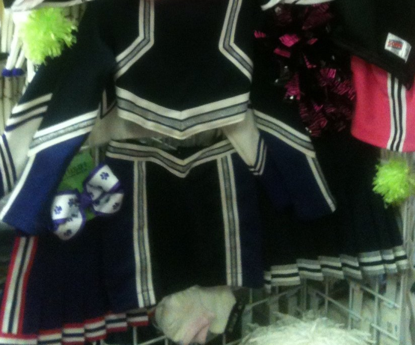 midriff long sleeve cheer uniform
