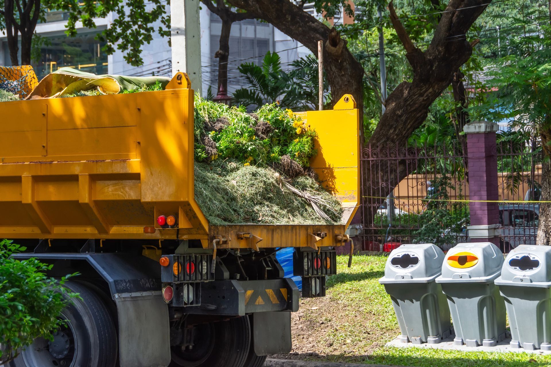 A dump truck is loading a pile of grass into a dumpster in a park.