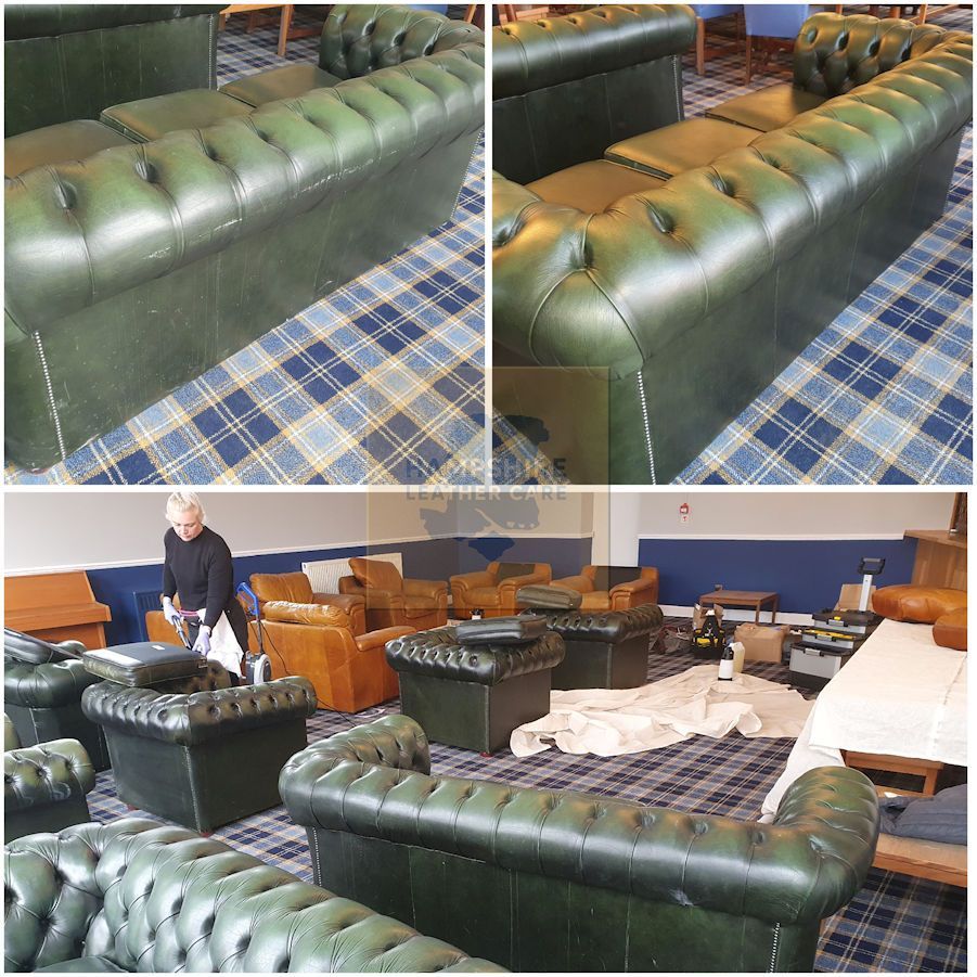 leather protective treatments