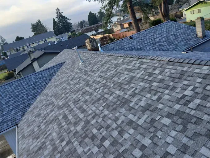 Gray and blue asphalt shingle rooftops of houses in a residential neighborhood on an overcast day.