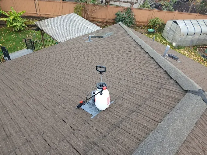 A brown asphalt shingle roof with a garden sprayer. Autumn setting.