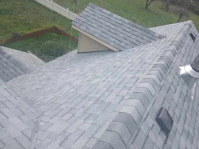 Grey asphalt shingle roof on a house, with a small dormer and vents, viewed from above.