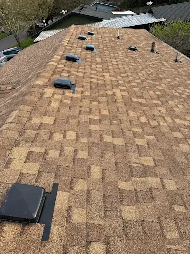 Brown asphalt shingle roof with vents and a chimney.