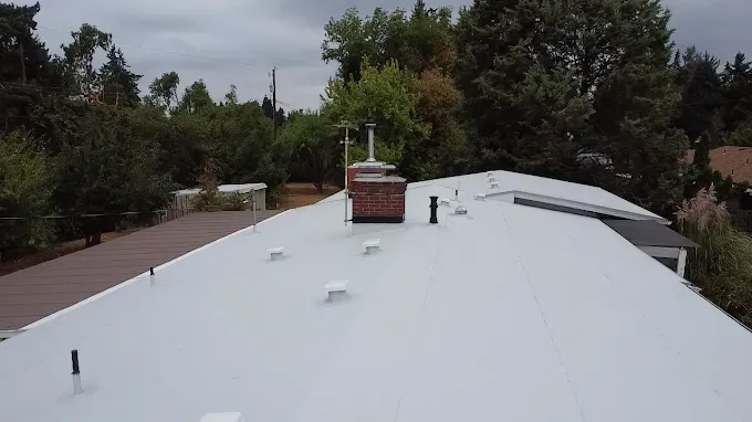 Flat roof with chimney, vents, and surrounding trees under an overcast sky.