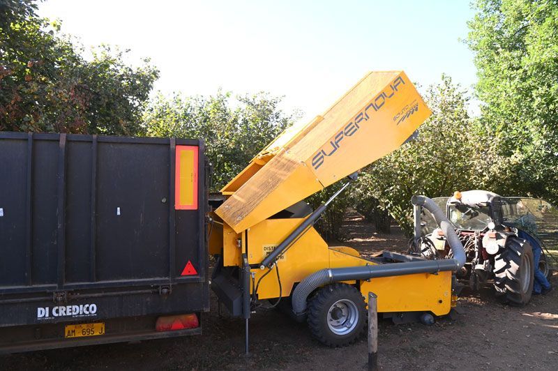 Raccoglitrice meccanica per nocciole a Vetralla