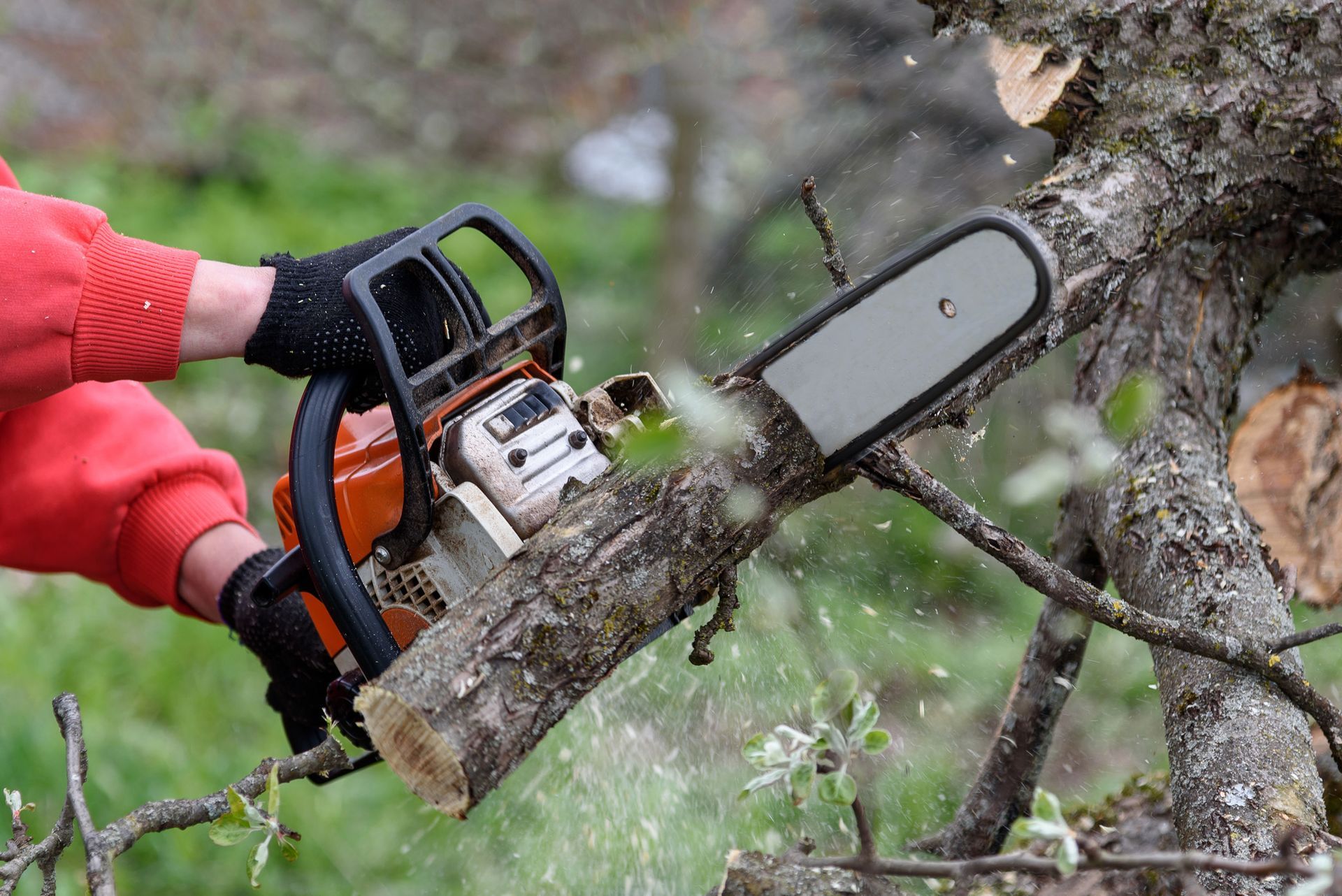 A person is cutting a tree branch with a chainsaw.