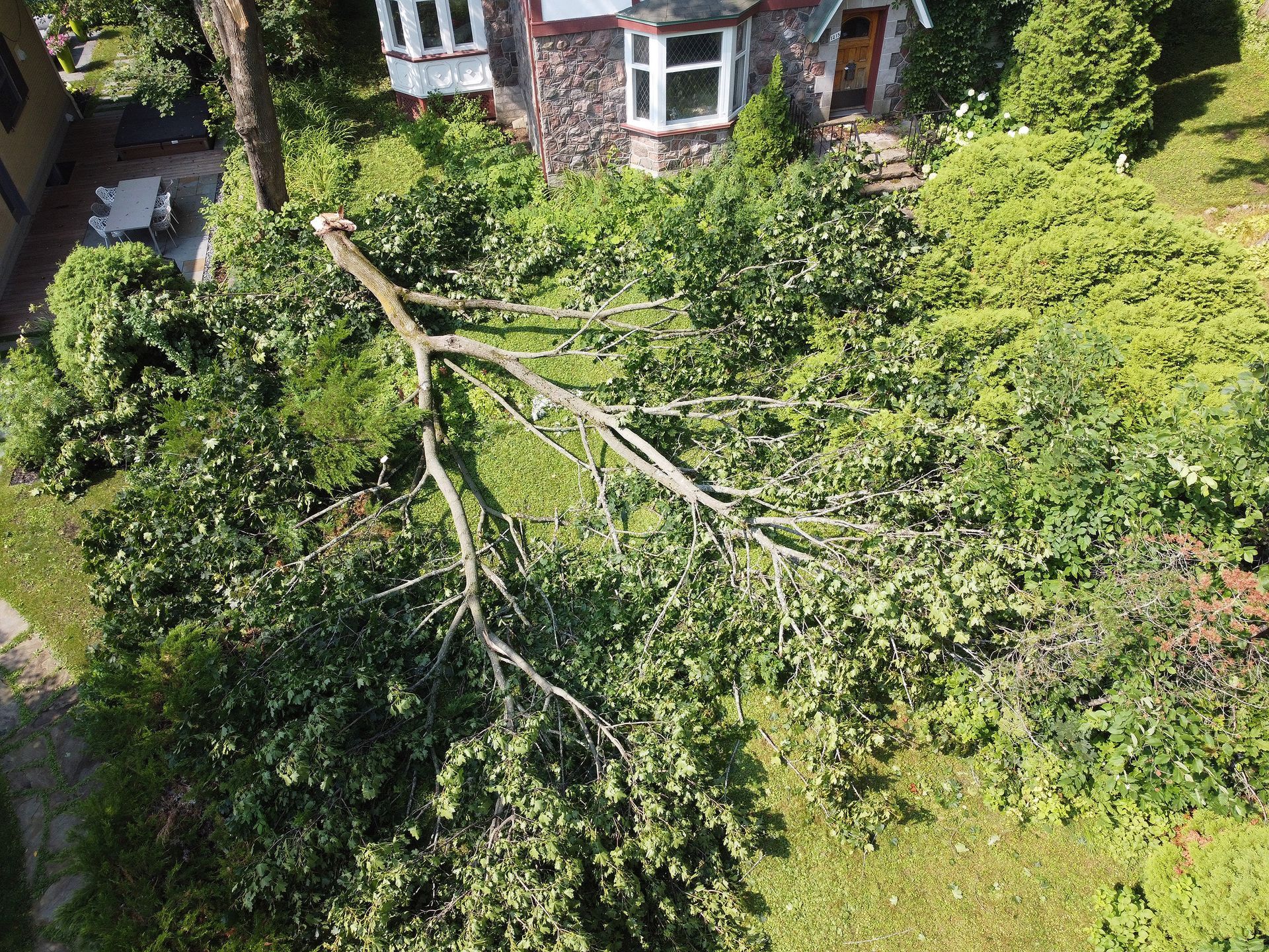 An aerial view of a fallen tree in front of a house.