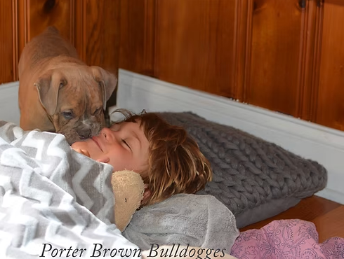 Puppy nuzzles a child lying in bed; gray blanket, large pillow, wood paneling.