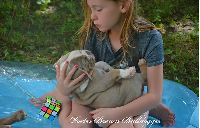Girl holding puppy, sitting in inflatable pool. A Rubik's cube and puppy paws are also visible.