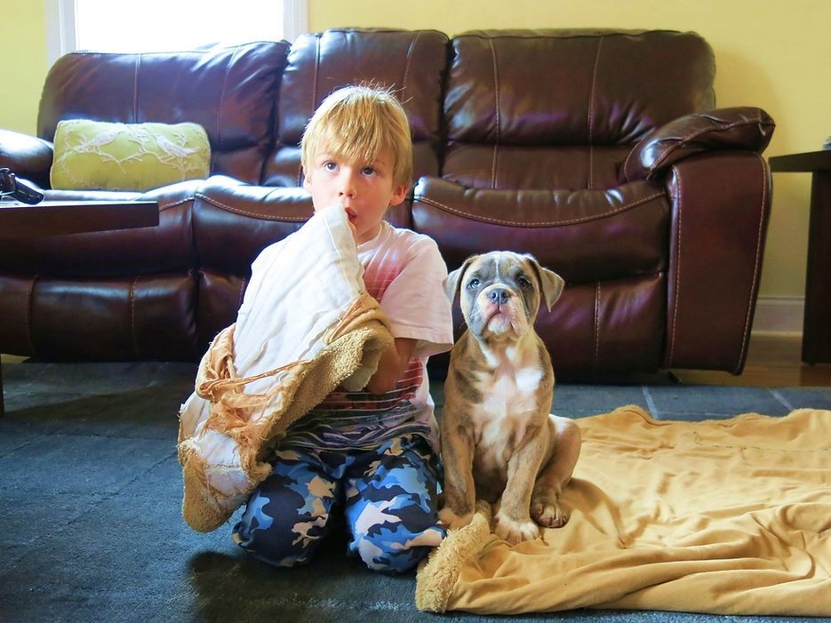 Boy kneeling next to a puppy on a rug; both on a dark rug in front of a leather recliner.