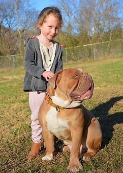 A young girl smiles, petting a tan and white bulldog in a grassy yard.