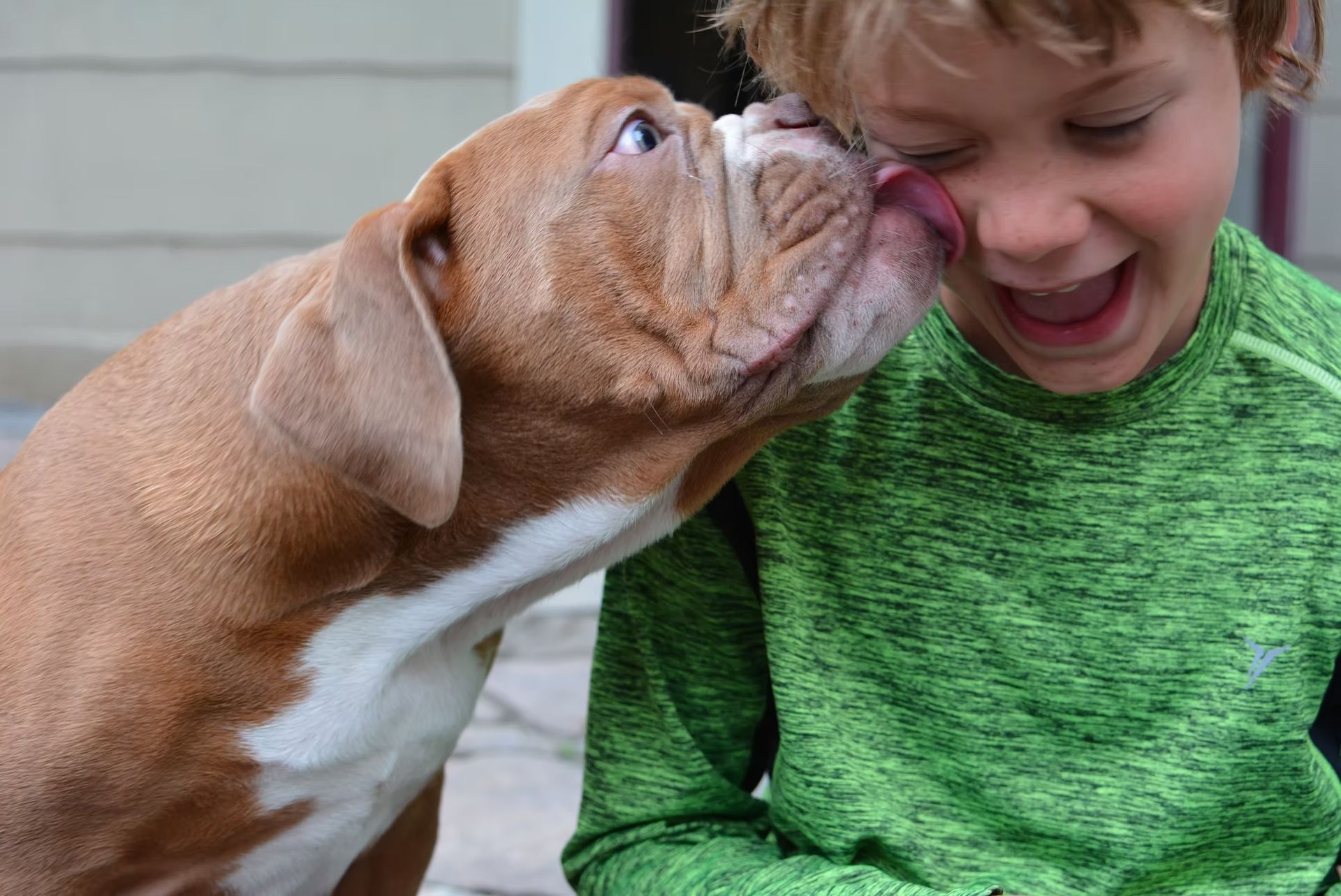 Dog licking a child's face; child is laughing, both outdoors.