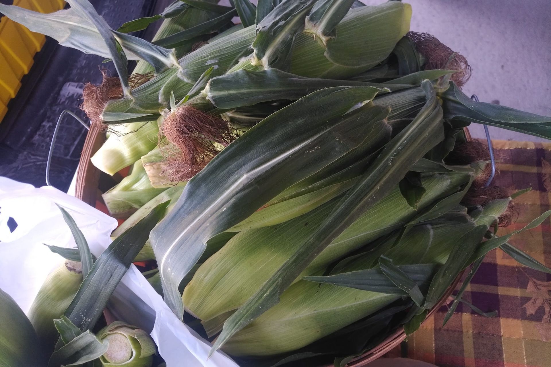 Flesherton Farmers' Market corn