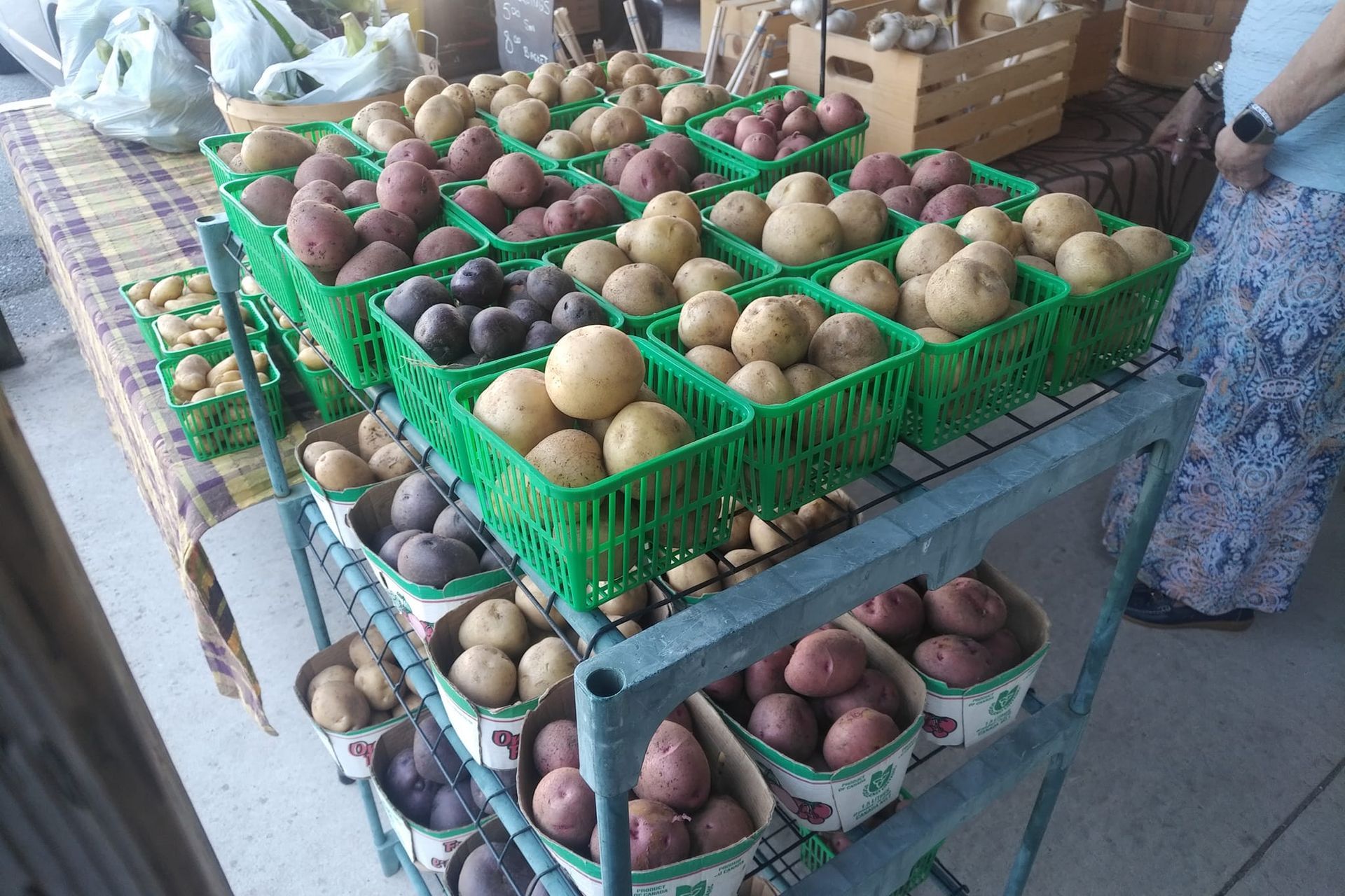Flesherton Farmers' Market Potatos