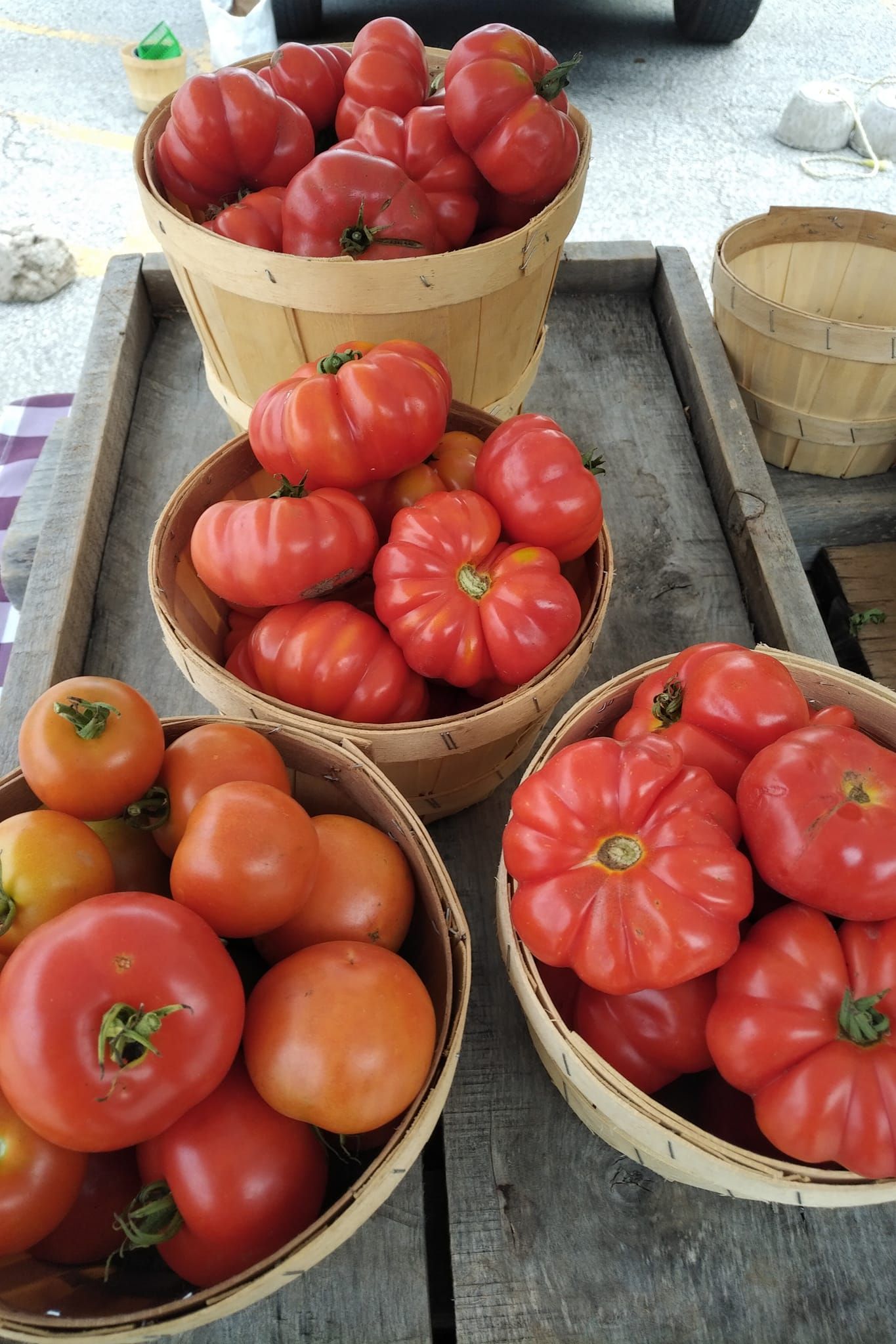 Flesherton Farmers' Market tomatos