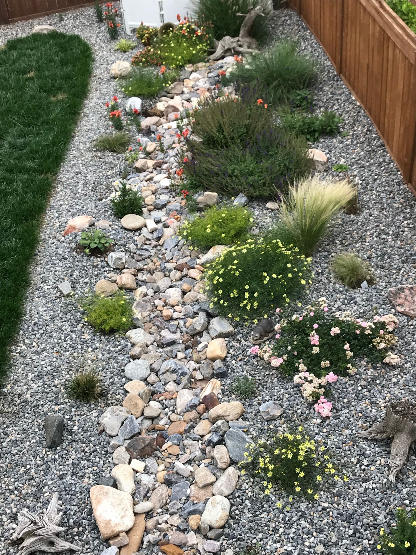 A rock garden with flowers and shrubs in a backyard.