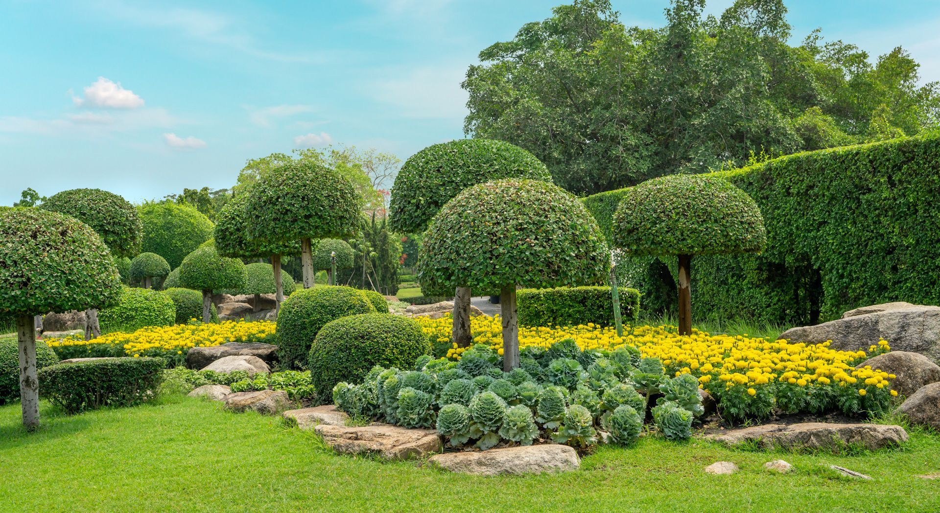 A garden filled with lots of trees and flowers