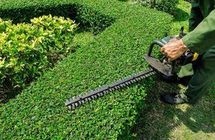 Superb landscaping services