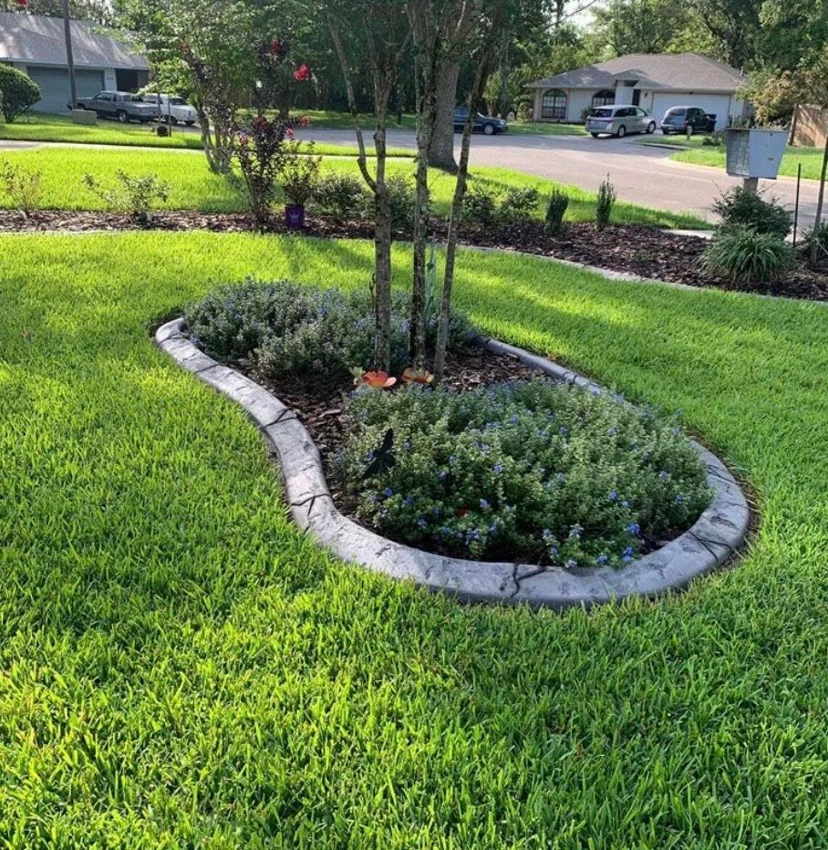 A landscaped yard with a curved concrete border framing green shrubs, a tree, and mulch; surrounded by green grass.