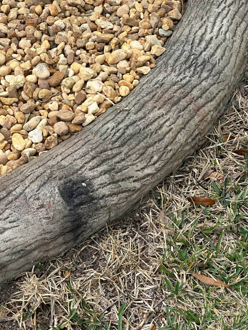 Tree trunk-shaped edging separating gravel from grass.