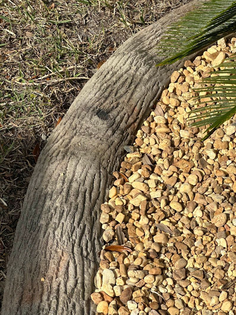 Stone edging borders a bed of pebbles, next to a weathered, tree-like structure and grass.