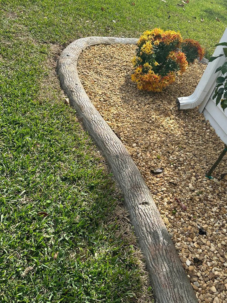 Curved concrete edging borders a flower bed with orange mums, gravel, and green grass.