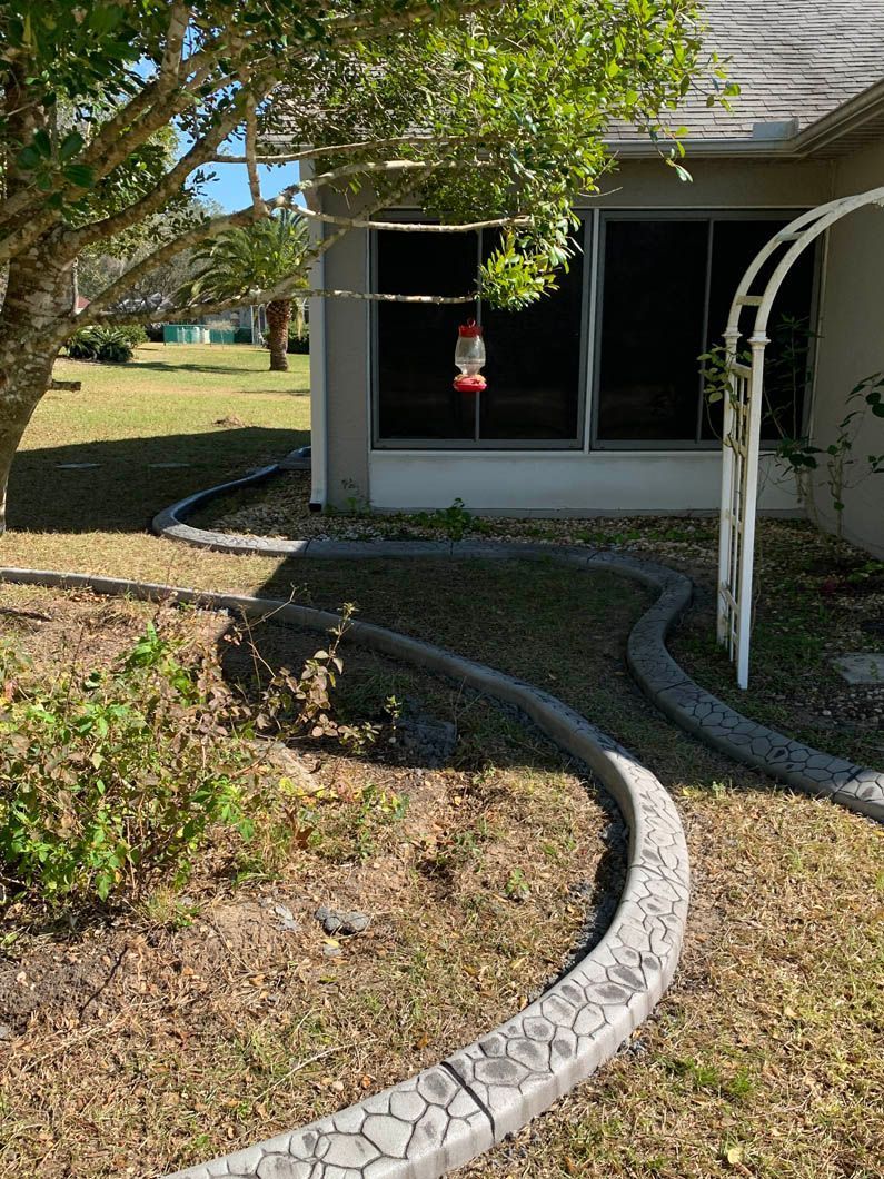 A curved concrete border lines a yard with dry grass and a house, tree and bird feeder in view.