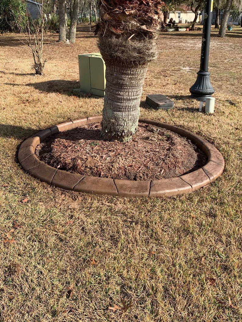 Brown tree trunk surrounded by mulch and a concrete border in a grassy area.