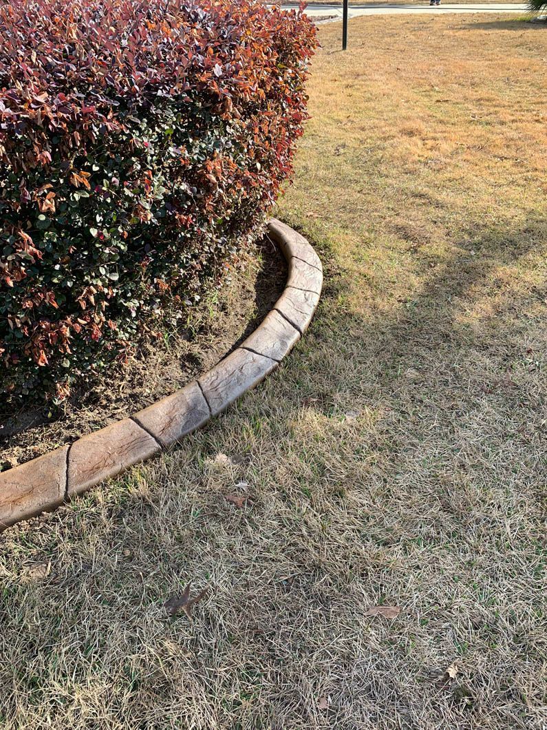 Stone edging curves around a bush, in a grassy area.
