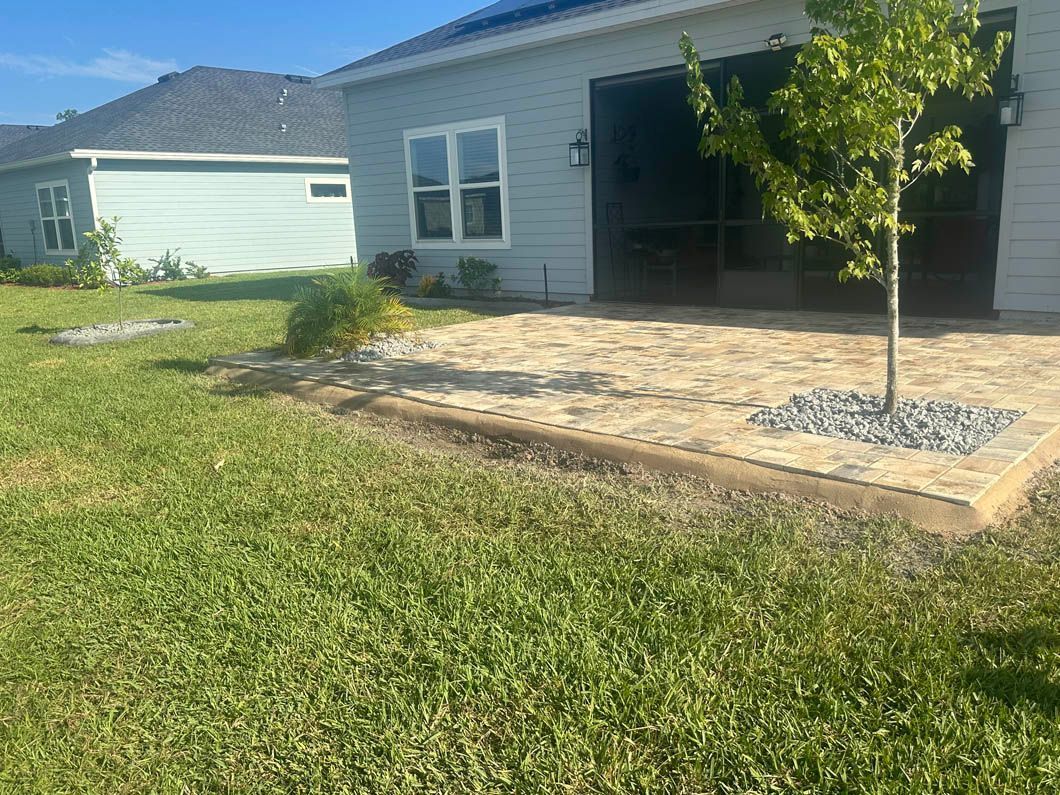 Backyard with a concrete patio, grass, and a small tree next to a light blue house on a sunny day.