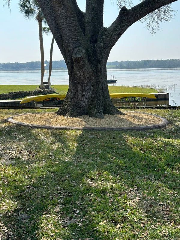 Large tree trunk with a ring of gravel, by a waterfront with yellow kayaks.