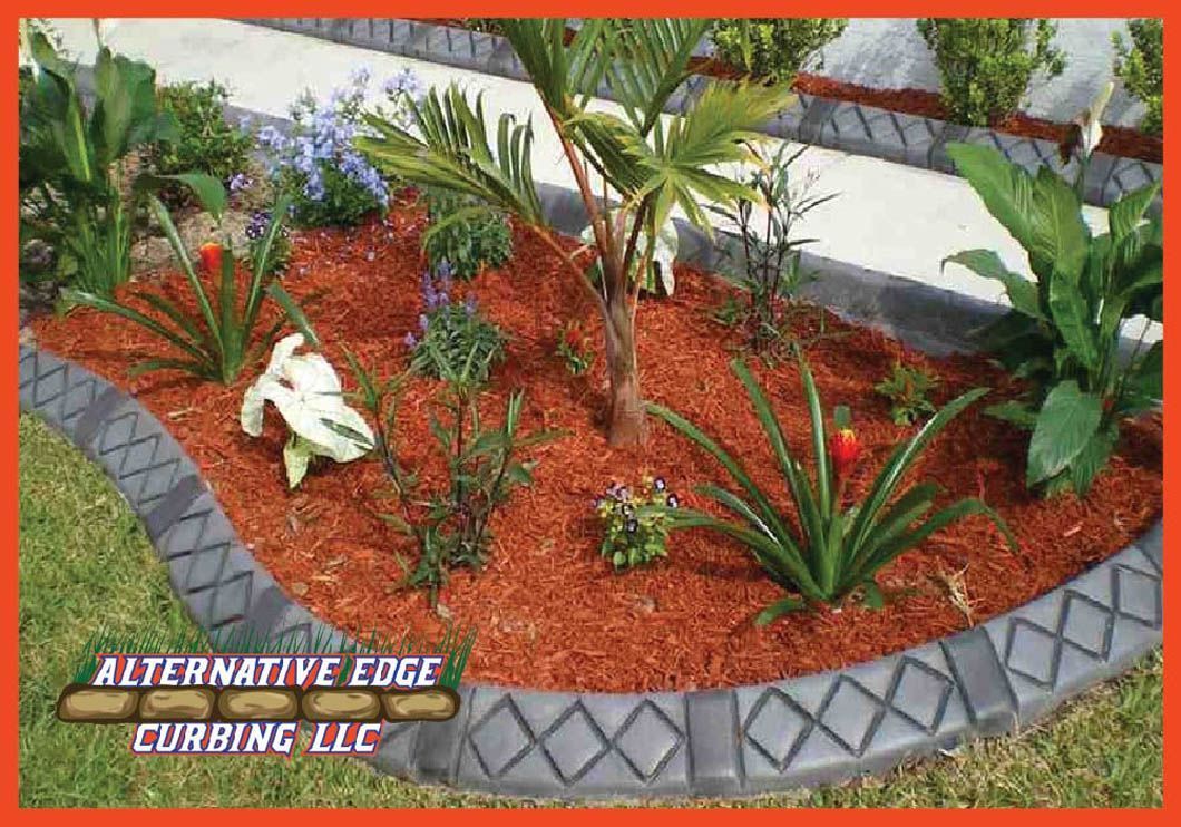 Flowerbed with concrete edging, mulch, and various green plants under blue sky.