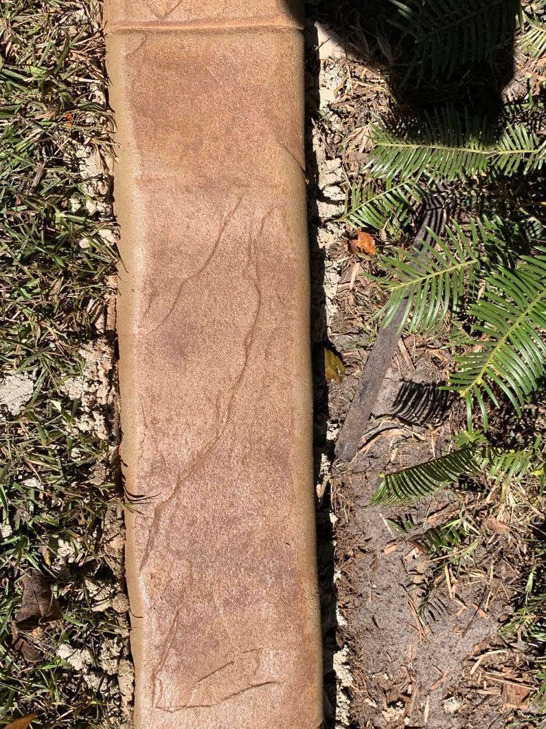 Brown concrete edging borders a garden bed with grass and a small tree.